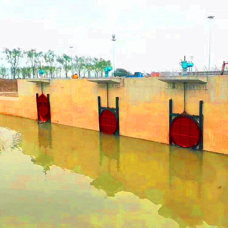 �T�F�A�l�T(m��n)